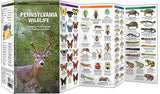 Pennsylvania Wildlife: A Folding Pocket Guide to Familiar Animals (Wildlife and Nature Identification)