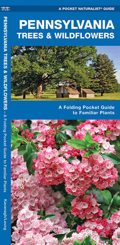 Pennsylvania Trees & Wildflowers: A Folding Pocket Guide to Familiar Plants (Waterford Press - EN)