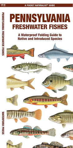 Pennsylvania Freshwater Fishes: A Folding Pocket Guide to Native and Introduced Species (Waterford Press - EN)