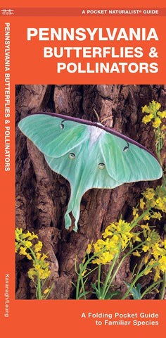 Pennsylvania Butterflies & Pollinators: A Folding Pocket Guide to Familiar Species (Waterfield Press - LH)