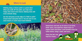 Look and Learn Nature Detective(PARVIS-PB)