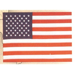 4x6 Amer Flag Plastic Stick