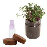Grow Your Own Groceries - Parsley Microgreen Kit