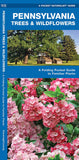Pennsylvania Trees & Wildflowers: A Folding Pocket Guide to Familiar Plants (Wildlife and Nature Identification - LH)