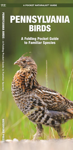 Pennsylvania Birds: A Folding Pocket Guide to Familiar Species (LH)