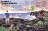 The Nature of Our National Parks: (Every U.S. National Park Included)
