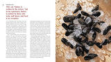 Tasting History: Explore the Past through 4,000 Years of Recipes (Miller/Volkwein)