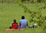 Picnic With a Purpose