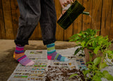 Petunia Crew Socks
