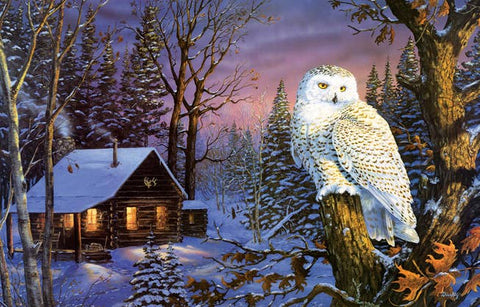 0492 Night Watch 1000 pc Puzzle