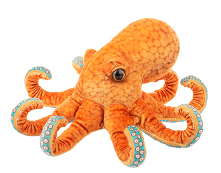 Seaside Octopus