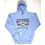 Light Blue Distressed Hoodie